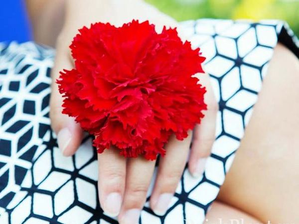 Бегония клубневая Fimbriata Ruffled Red