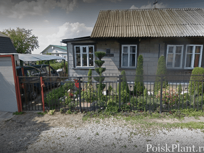 Смирновых