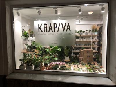KRAPIVA