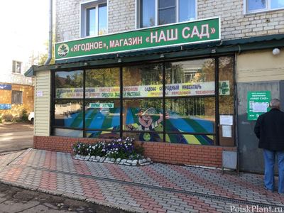 Ягодное