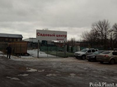 Плодовый