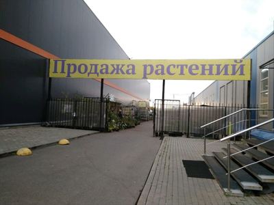 Элитгарден