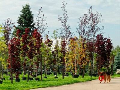 Florapark