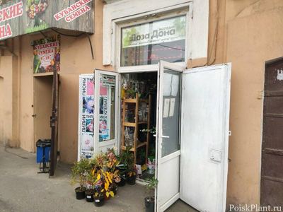 Лоза Дона