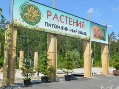 Майнило