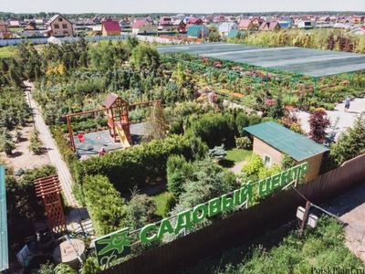 Ромашкино Парк