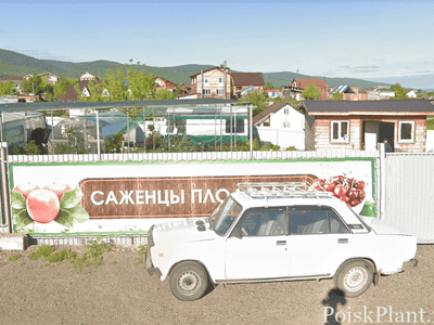 Летний