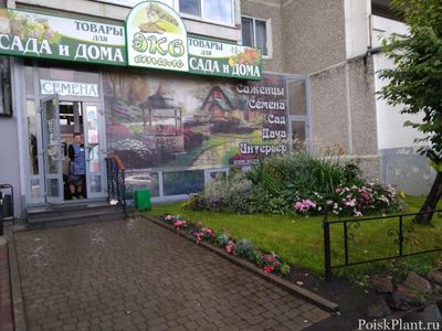 ЭКОстиль