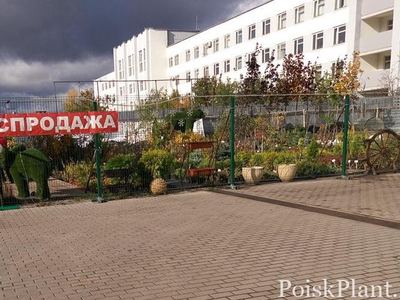 Арт-ландшафт