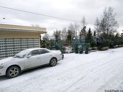 Сибирский парк