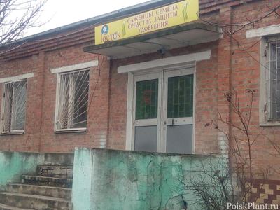 Агрофирма Росток