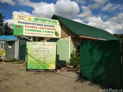 ДендроСад