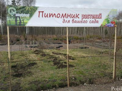 Максиплант