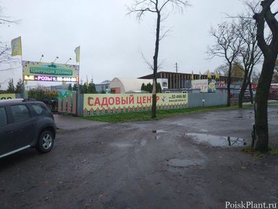 Цветущая Долина