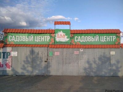 Сад Мастер Ландшафт