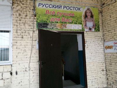 Русский Росток