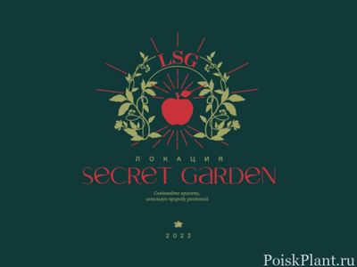 Локация Secret Garden - комнатные растения