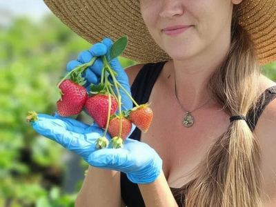 Berry Store (Клубничная ферма Борисовых)