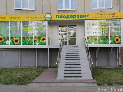 Плодородие