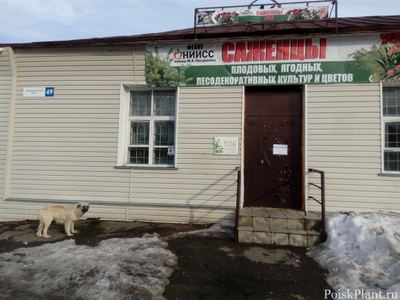 НИИСС имени М.А. Лисавенко