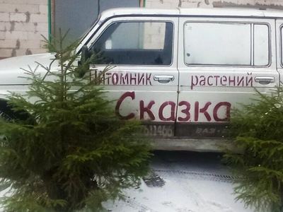 Сказка