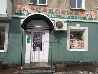 Садовый