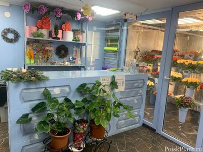FloristCenter