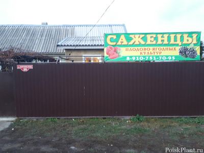 Изосимовский сад