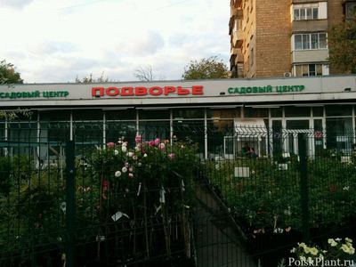 Подворье