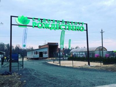 Рождествено