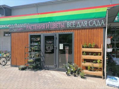 Veresk (Вереск)