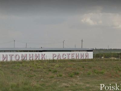 Азбука растений