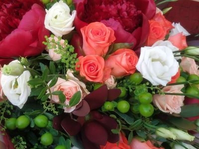 Кактус24