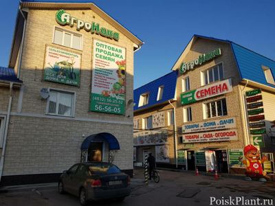 АгроНика