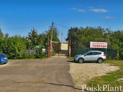 Райский сад