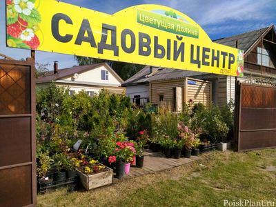 Цветущая Долина