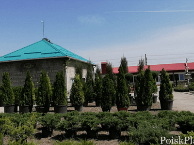 Элит Парк