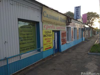 Тульский садовод
