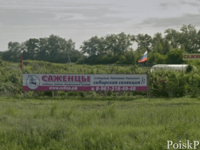 Сибирский питомник растений