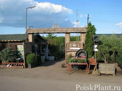 Мастера Сада