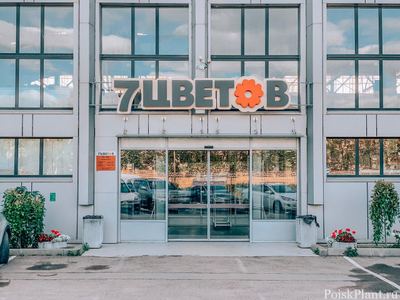 7 ЦВЕТОВ
