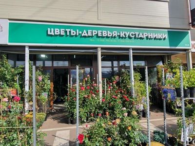 PlantSad (ПЛАНТСАД)