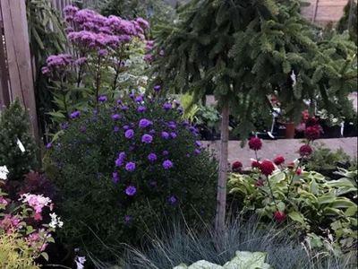 Дачный мир