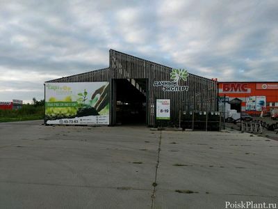 Сады Вятки